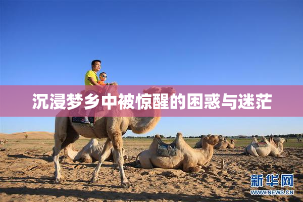 沉浸梦乡中被惊醒的困惑与迷茫