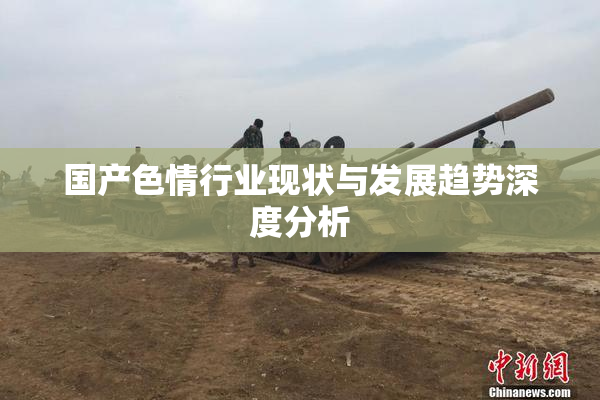 国产色情行业现状与发展趋势深度分析