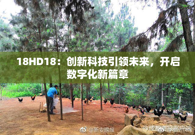 18HD18：创新科技引领未来，开启数字化新篇章