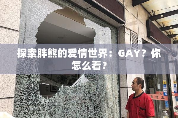 探索胖熊的爱情世界：GAY？你怎么看？
