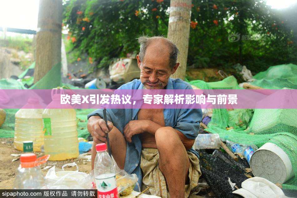 欧美X引发热议，专家解析影响与前景