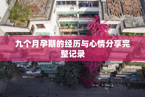 九个月孕期的经历与心情分享完整记录