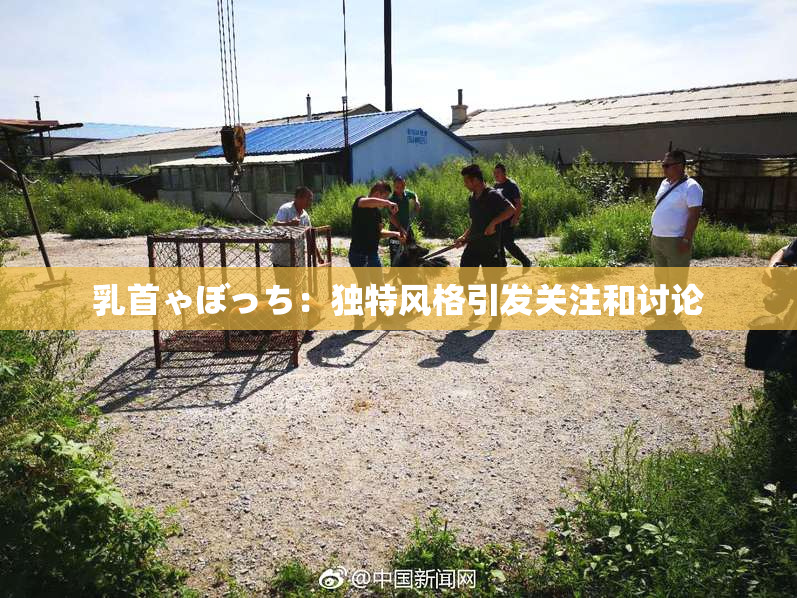 乳首ゃぼっち：独特风格引发关注和讨论