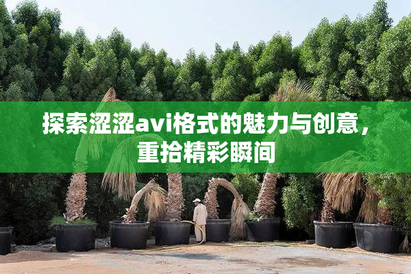 探索涩涩avi格式的魅力与创意，重拾精彩瞬间