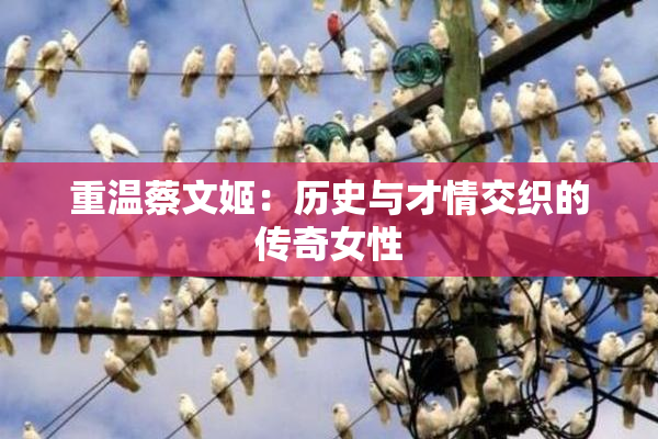重温蔡文姬：历史与才情交织的传奇女性
