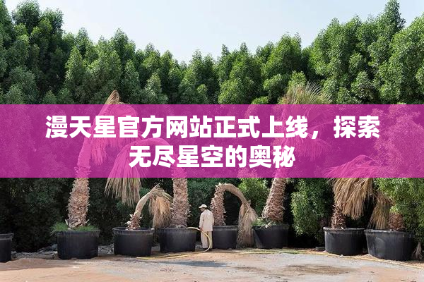 漫天星官方网站正式上线，探索无尽星空的奥秘