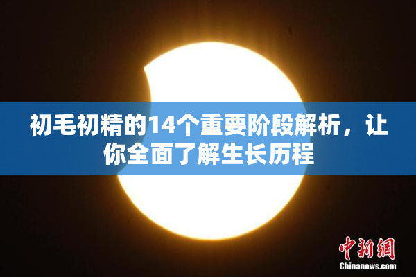 初毛初精的14个重要阶段解析，让你全面了解生长历程