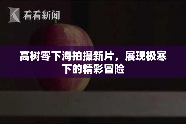高树零下海拍摄新片，展现极寒下的精彩冒险