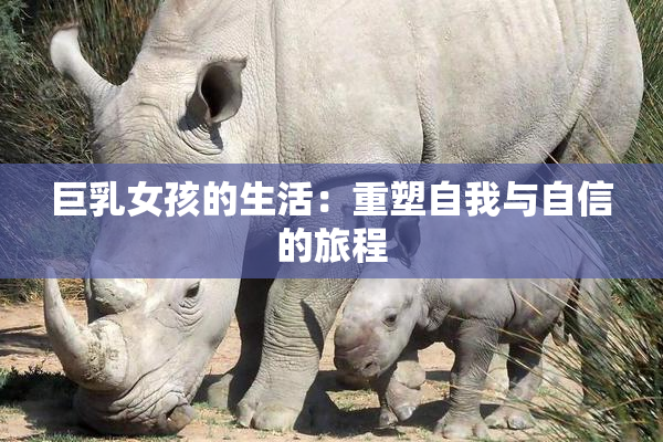 巨乳女孩的生活：重塑自我与自信的旅程