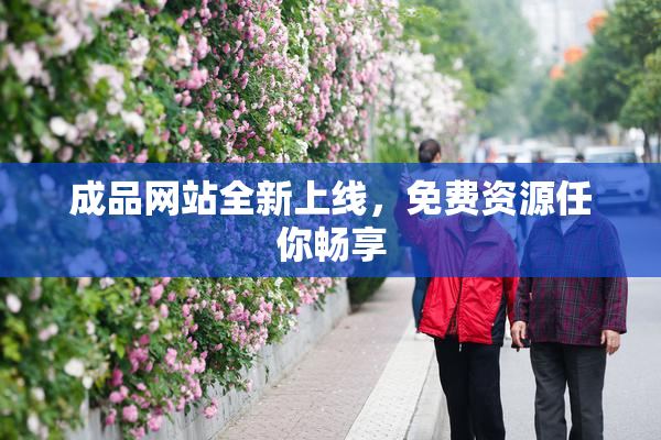 成品网站全新上线，免费资源任你畅享