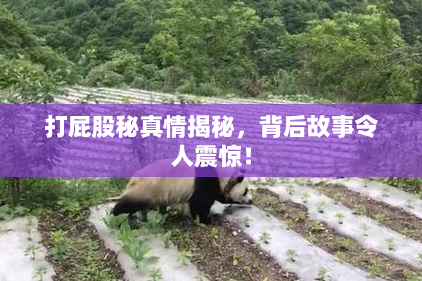 打屁股秘真情揭秘，背后故事令人震惊！