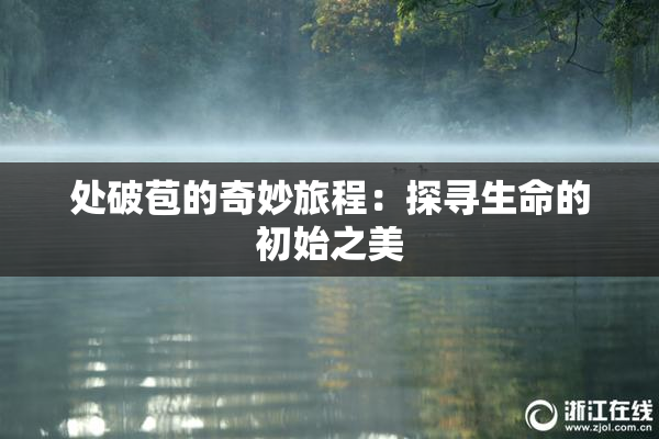 处破苞的奇妙旅程：探寻生命的初始之美