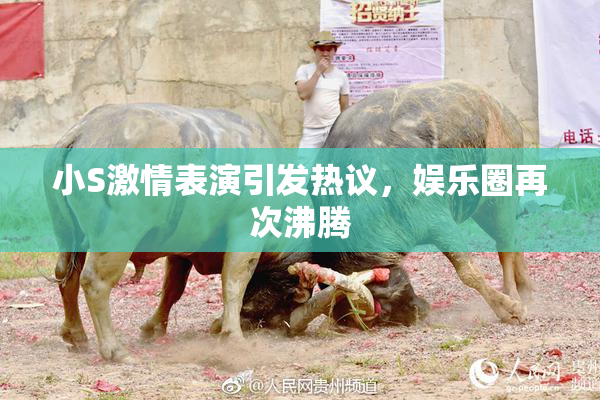 小S激情表演引发热议，娱乐圈再次沸腾
