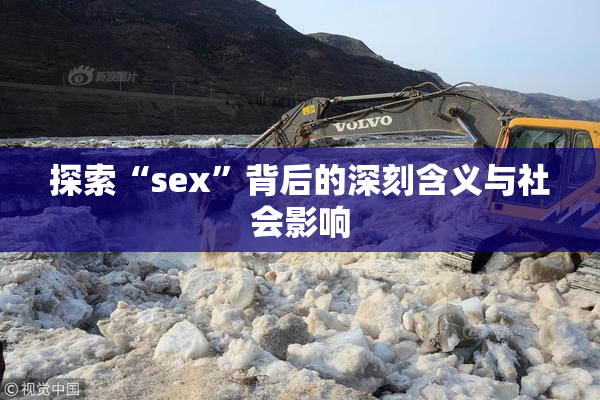 探索“sex”背后的深刻含义与社会影响