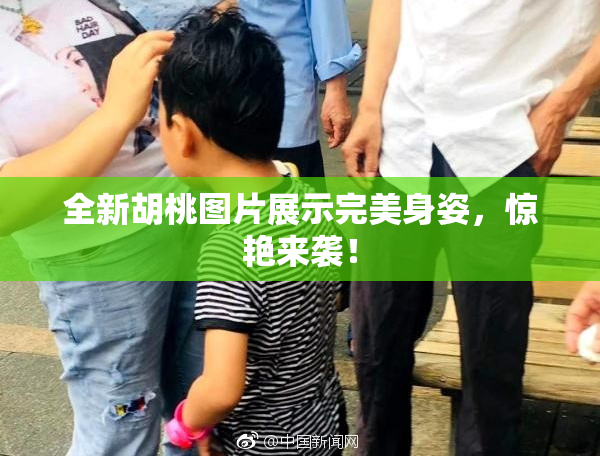 全新胡桃图片展示完美身姿，惊艳来袭！