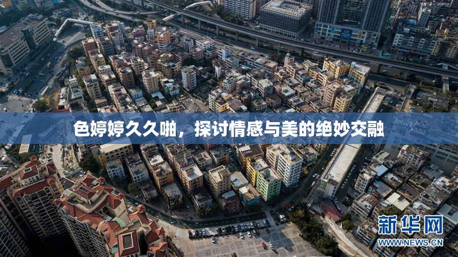 色婷婷久久啪，探讨情感与美的绝妙交融