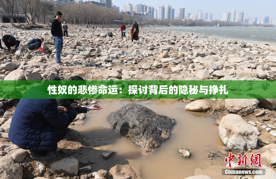 性奴的悲惨命运：探讨背后的隐秘与挣扎