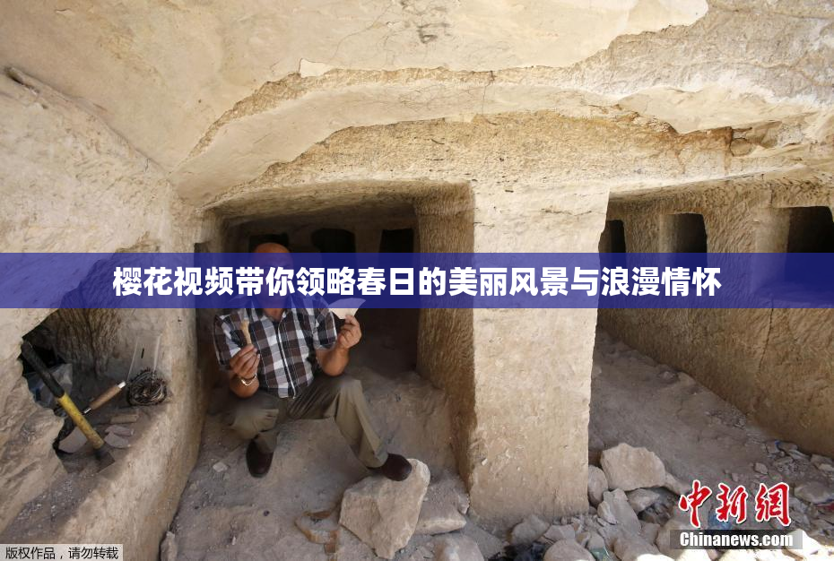 樱花视频带你领略春日的美丽风景与浪漫情怀