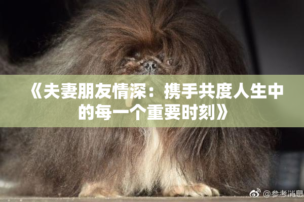 《夫妻朋友情深：携手共度人生中的每一个重要时刻》