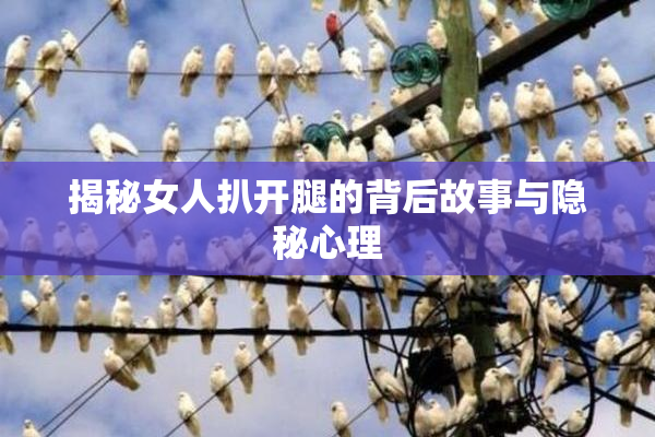 揭秘女人扒开腿的背后故事与隐秘心理