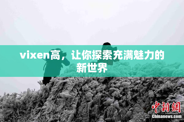 vixen高，让你探索充满魅力的新世界
