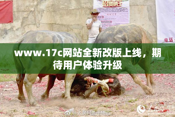 www.17c网站全新改版上线，期待用户体验升级