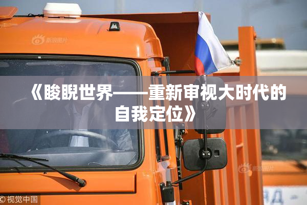 《睃睨世界——重新审视大时代的自我定位》