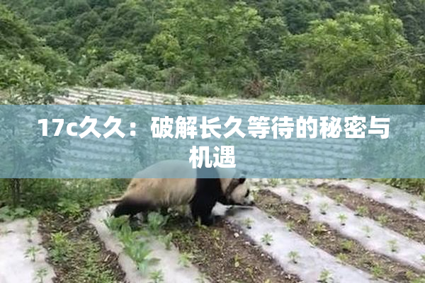 17c久久：破解长久等待的秘密与机遇