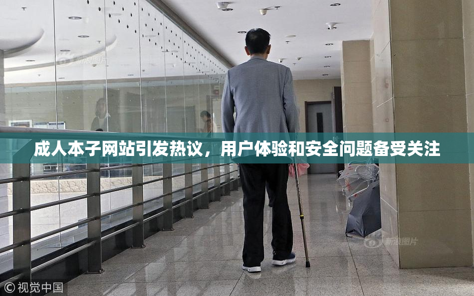 成人本子网站引发热议，用户体验和安全问题备受关注