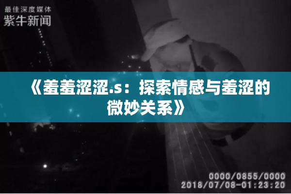 《羞羞涩涩.s：探索情感与羞涩的微妙关系》