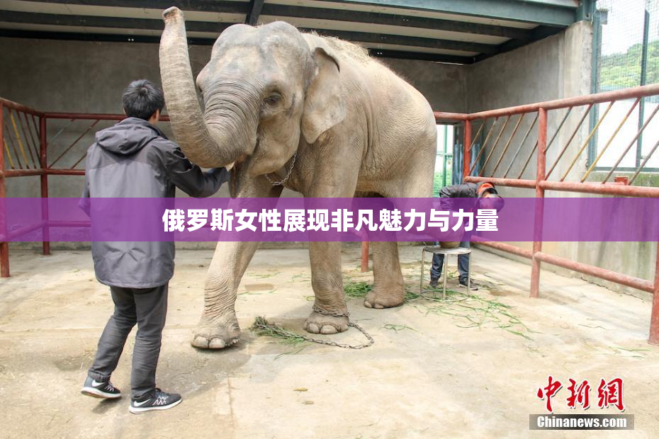 俄罗斯女性展现非凡魅力与力量