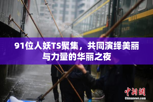 91位人妖TS聚集，共同演绎美丽与力量的华丽之夜