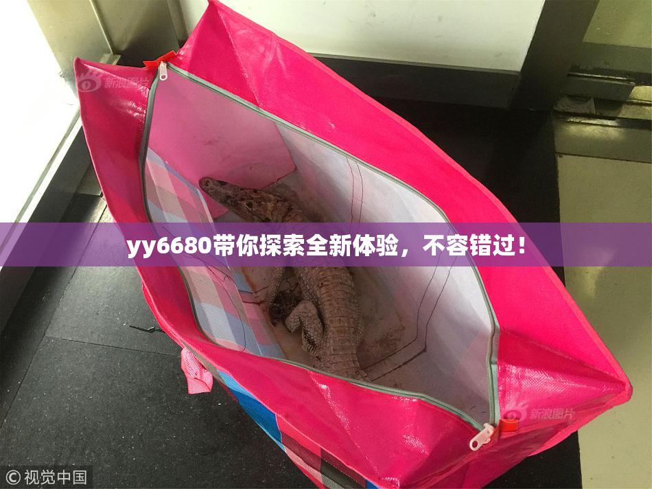 yy6680带你探索全新体验，不容错过！