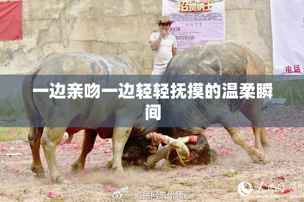 一边亲吻一边轻轻抚摸的温柔瞬间