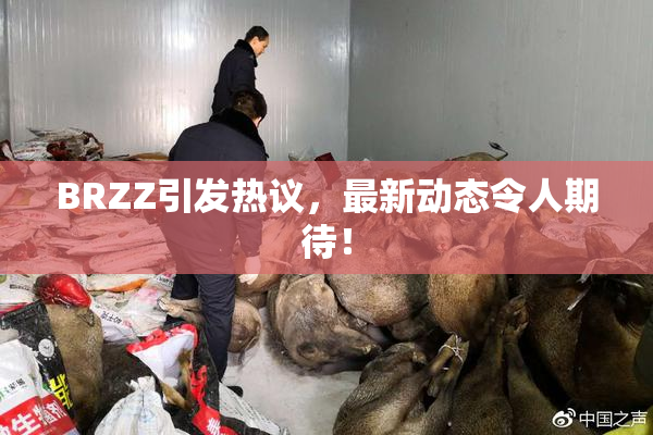 BRZZ引发热议，最新动态令人期待！