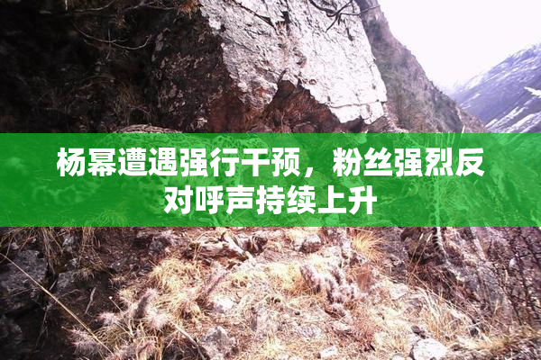 杨幂遭遇强行干预，粉丝强烈反对呼声持续上升
