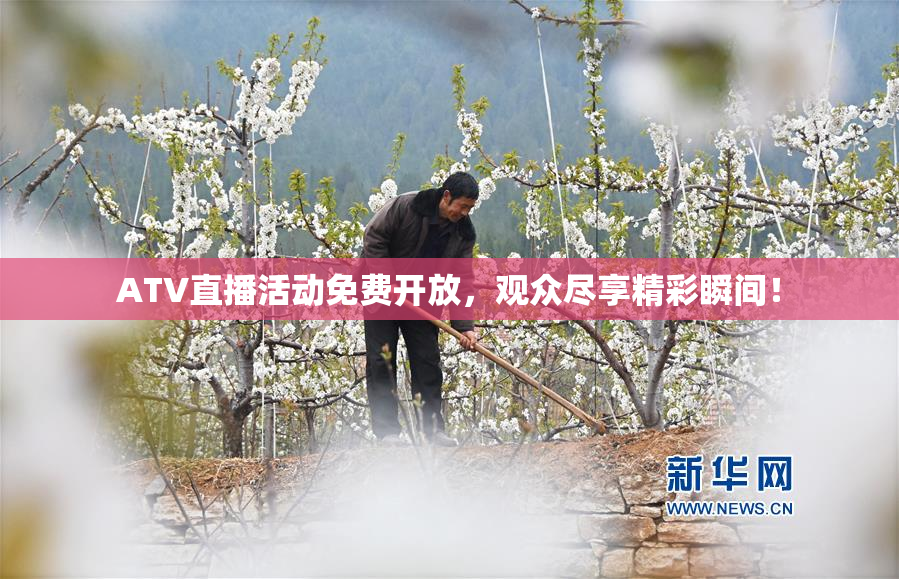 ATV直播活动免费开放，观众尽享精彩瞬间！