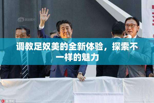 调教足奴美的全新体验，探索不一样的魅力