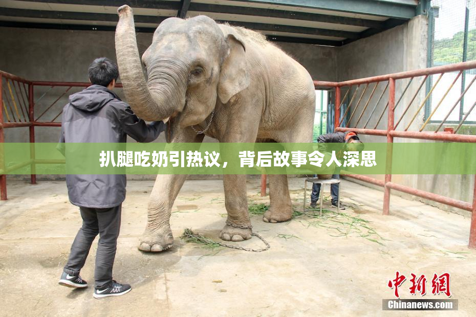 扒腿吃奶引热议，背后故事令人深思