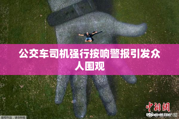 公交车司机强行按响警报引发众人围观