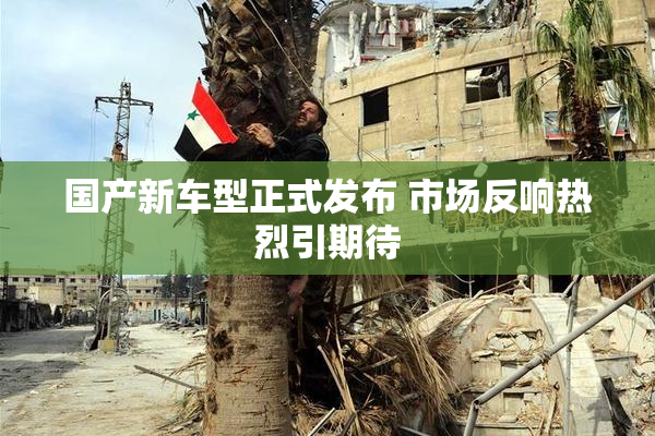 国产新车型正式发布 市场反响热烈引期待