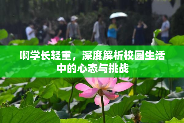 啊学长轻重，深度解析校园生活中的心态与挑战