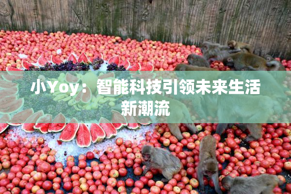 小Yoy：智能科技引领未来生活新潮流