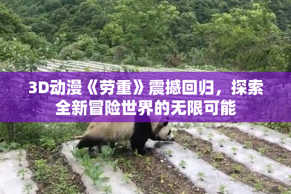 3D动漫《劳重》震撼回归，探索全新冒险世界的无限可能