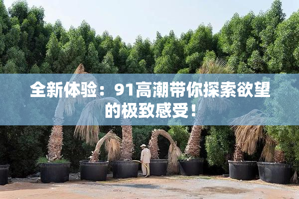 全新体验：91高潮带你探索欲望的极致感受！