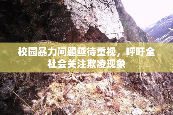 校园暴力问题亟待重视，呼吁全社会关注欺凌现象