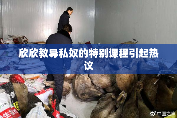 欣欣教导私奴的特别课程引起热议
