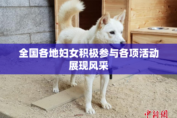 全国各地妇女积极参与各项活动展现风采
