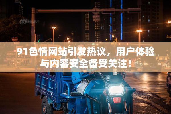 91色情网站引发热议，用户体验与内容安全备受关注！