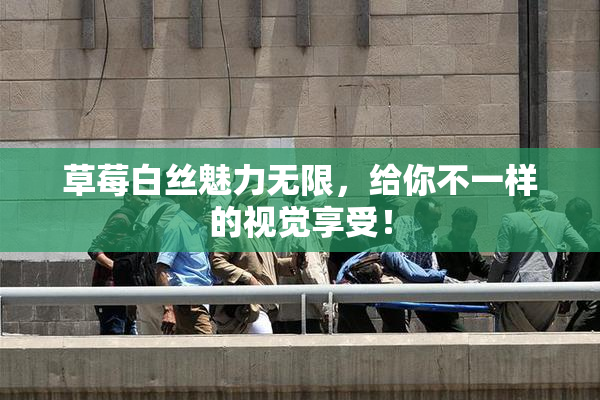 草莓白丝魅力无限，给你不一样的视觉享受！